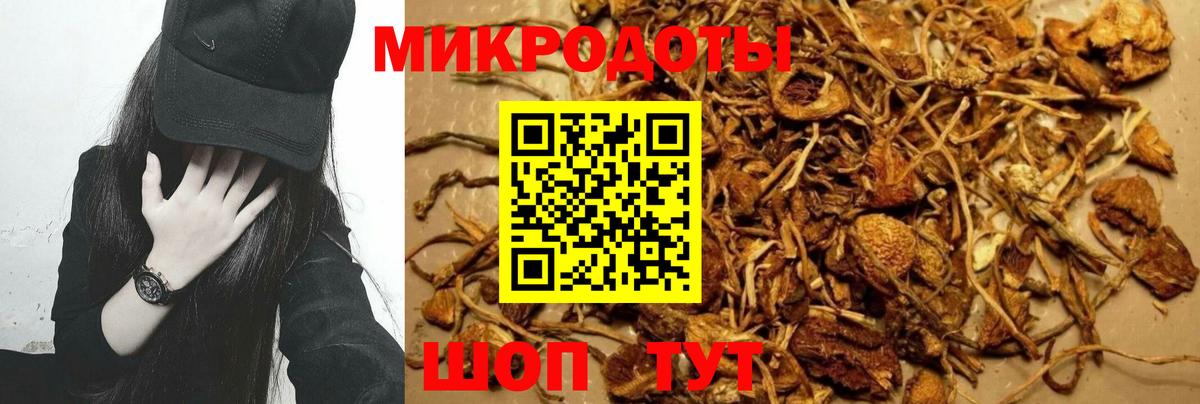 Псилоцибиновые грибы Зеленокумск