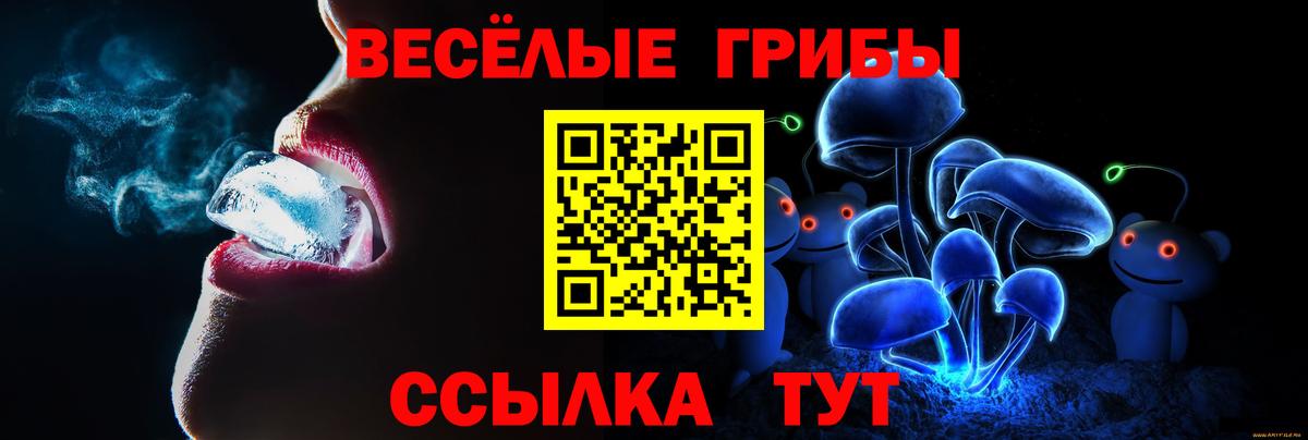 Зеленокумск  Галлюциногенные грибы прущие грибы  Вход с VPN 